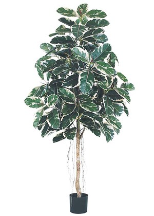 180cmラバーツリー(ナチュラルトランク)